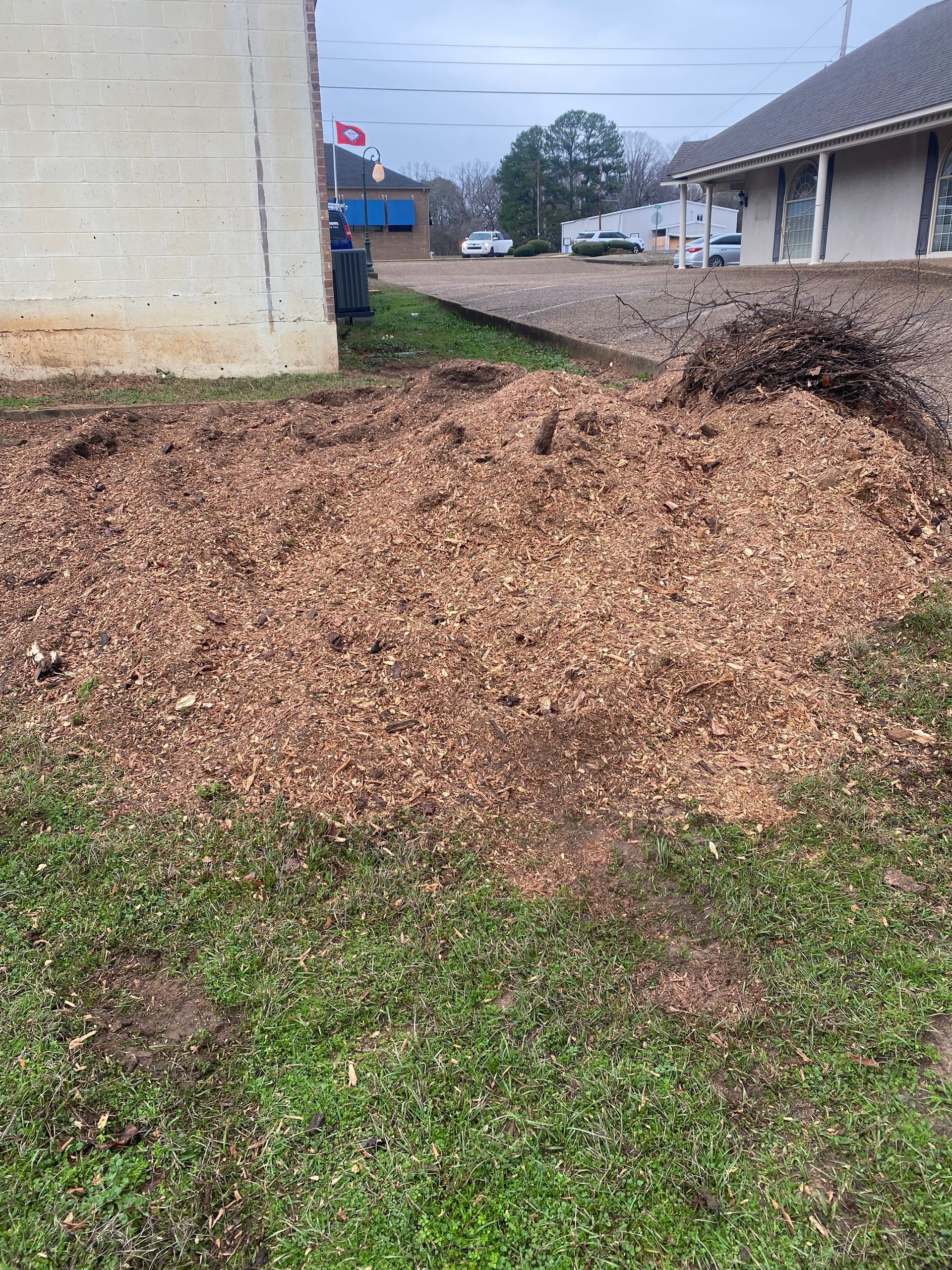 sawdust cleanup after stump grinding