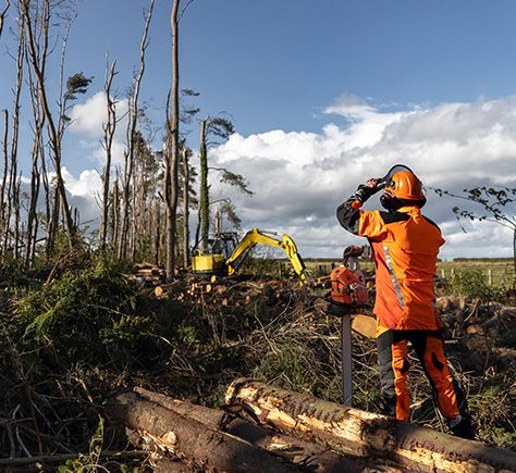 Tree Specialists