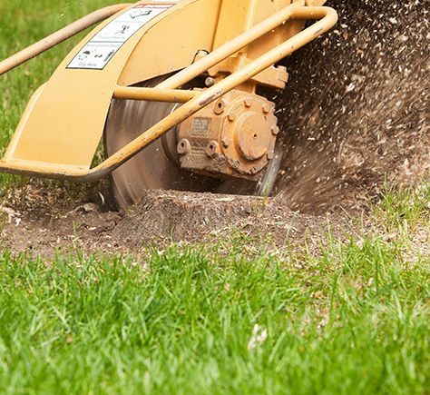 Stump Removal