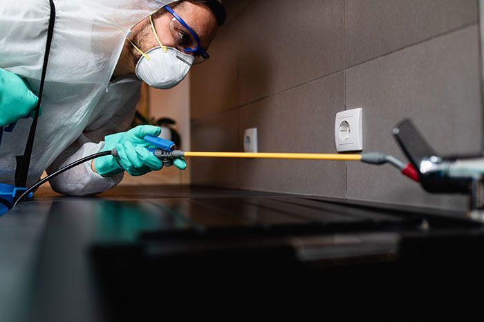 SERVICIOS DE FUMIGACION VEGA