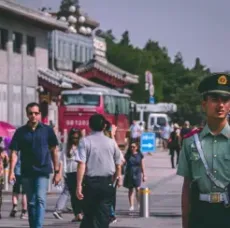 backyard pool - retain branding