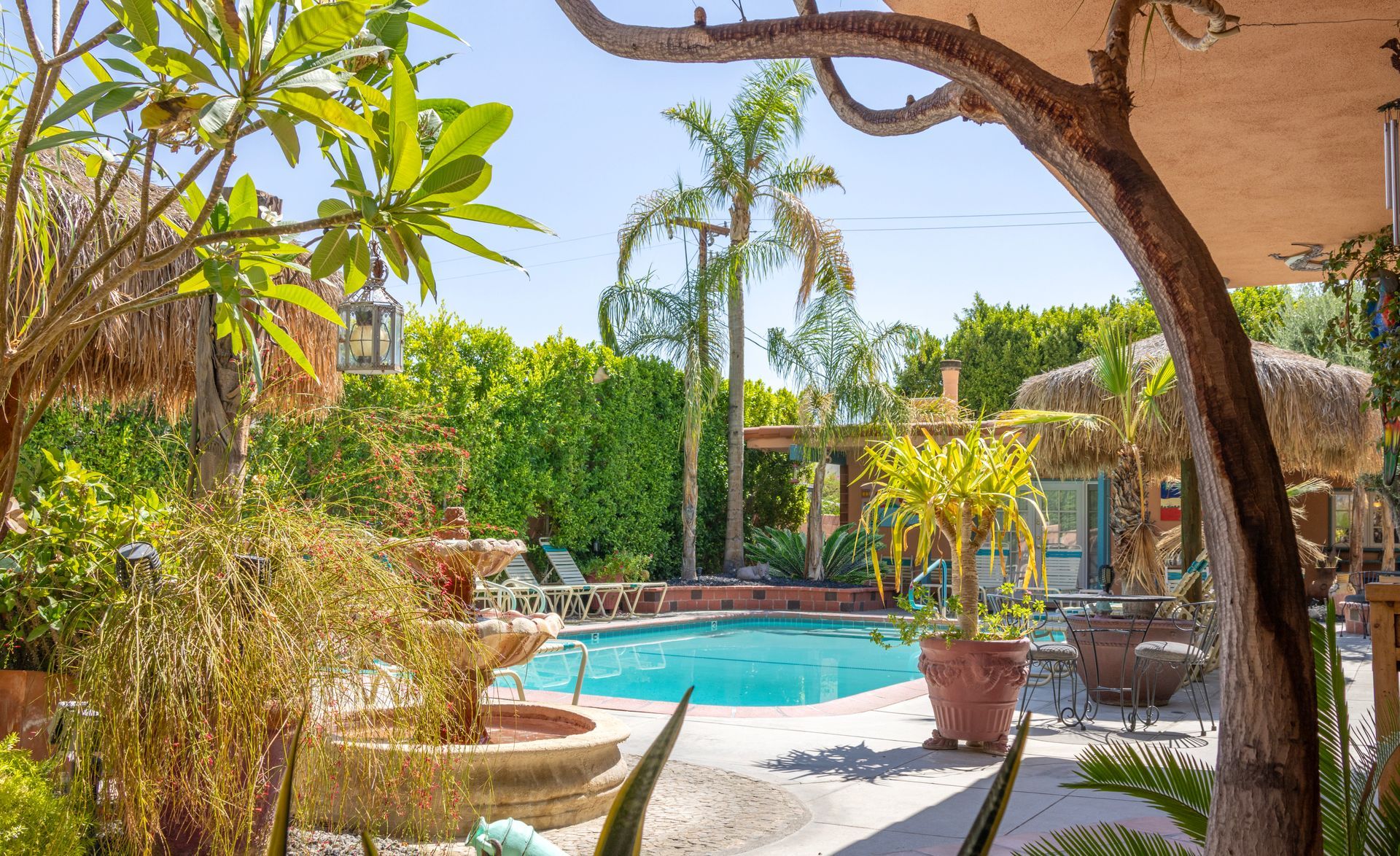 Pool in a lush, tropical backyard with a fountain, palm trees, and shade structures.