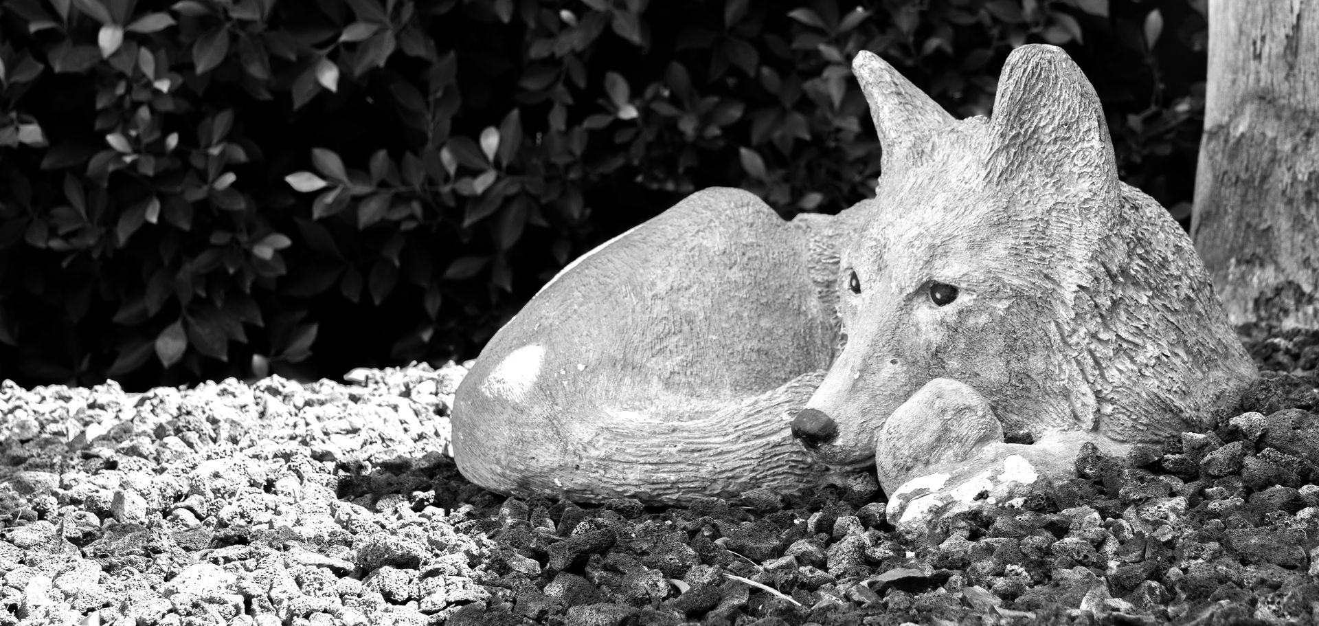Stone fox statue resting in a garden setting with gravel and leafy foliage in the background.