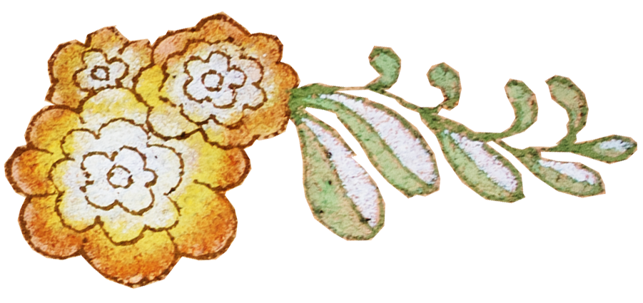 Watercolor illustration of three yellow flowers and green leaves.
