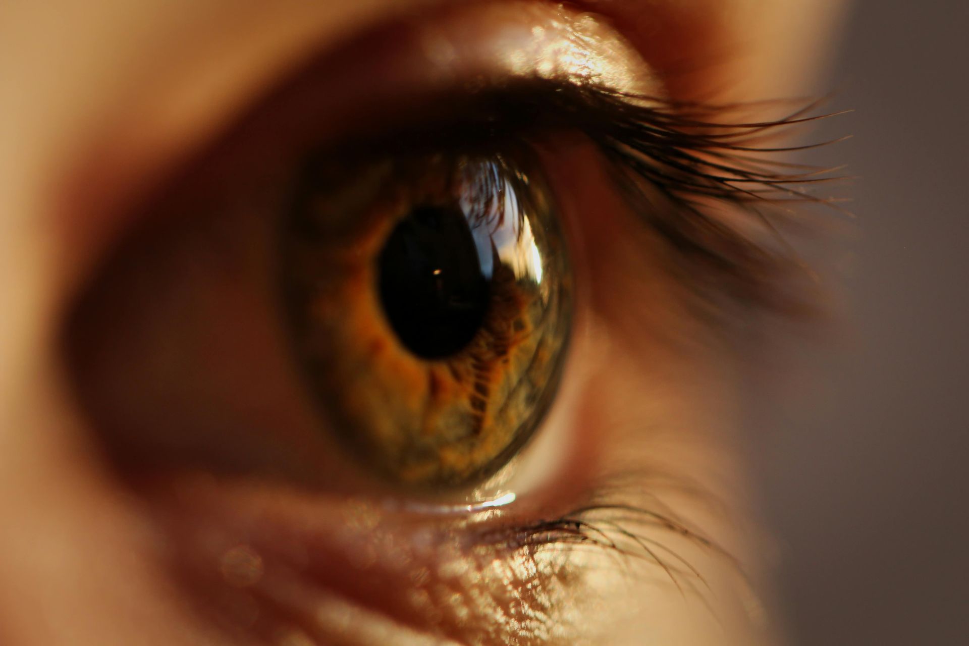 Close-up of a human eye with brown and amber irises, long eyelashes, and a visible reflection.