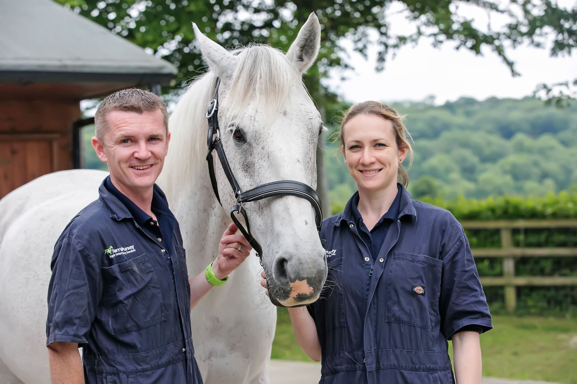 Professional photographer Reading  equine vet