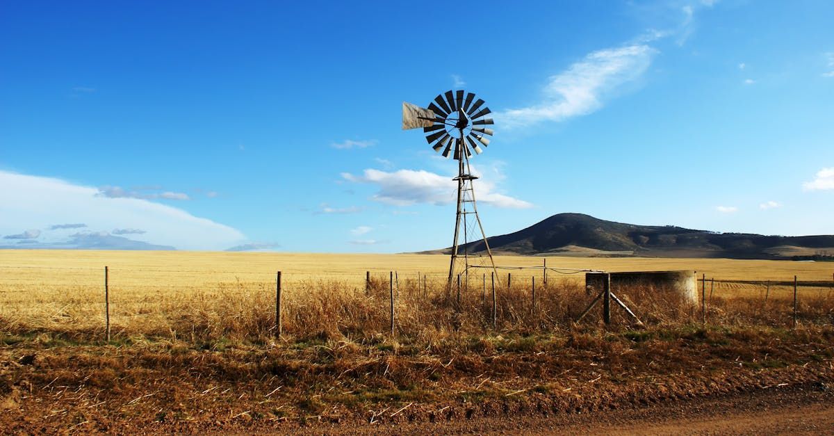 Windmill in a golden wheat field under a bright blue sky, with a small mountain in the background.