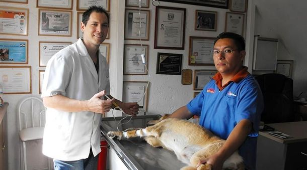 HOSPITAL VETERINARIO OREJAS