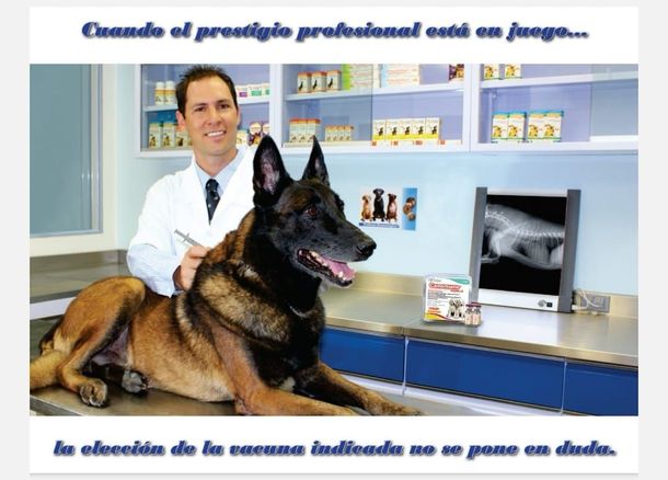 HOSPITAL VETERINARIO OREJAS