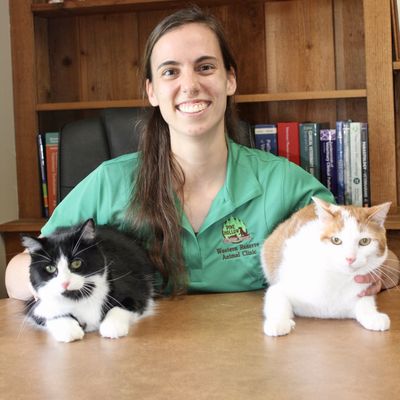 Pine Hollow Veterinary Services Northwest Pa Northeast Oh
