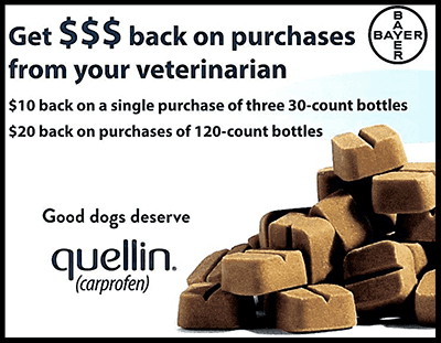 Quellin, chewable joint care medication for dogs