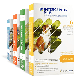 Interceptor Plus for eliminating parasites in pets
