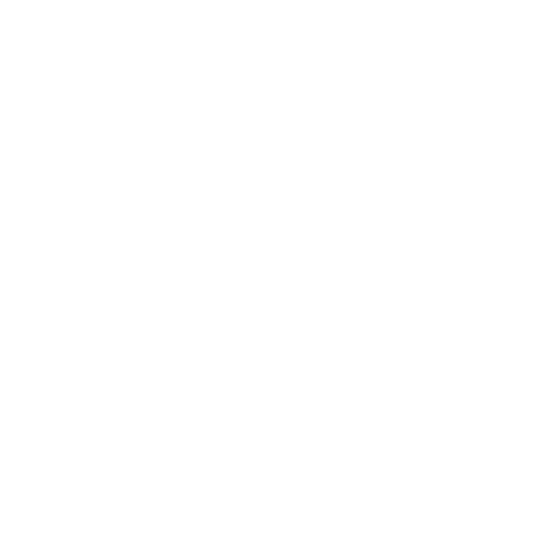 Icon of a car with round model border