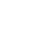 Icon of an airplane with round model border