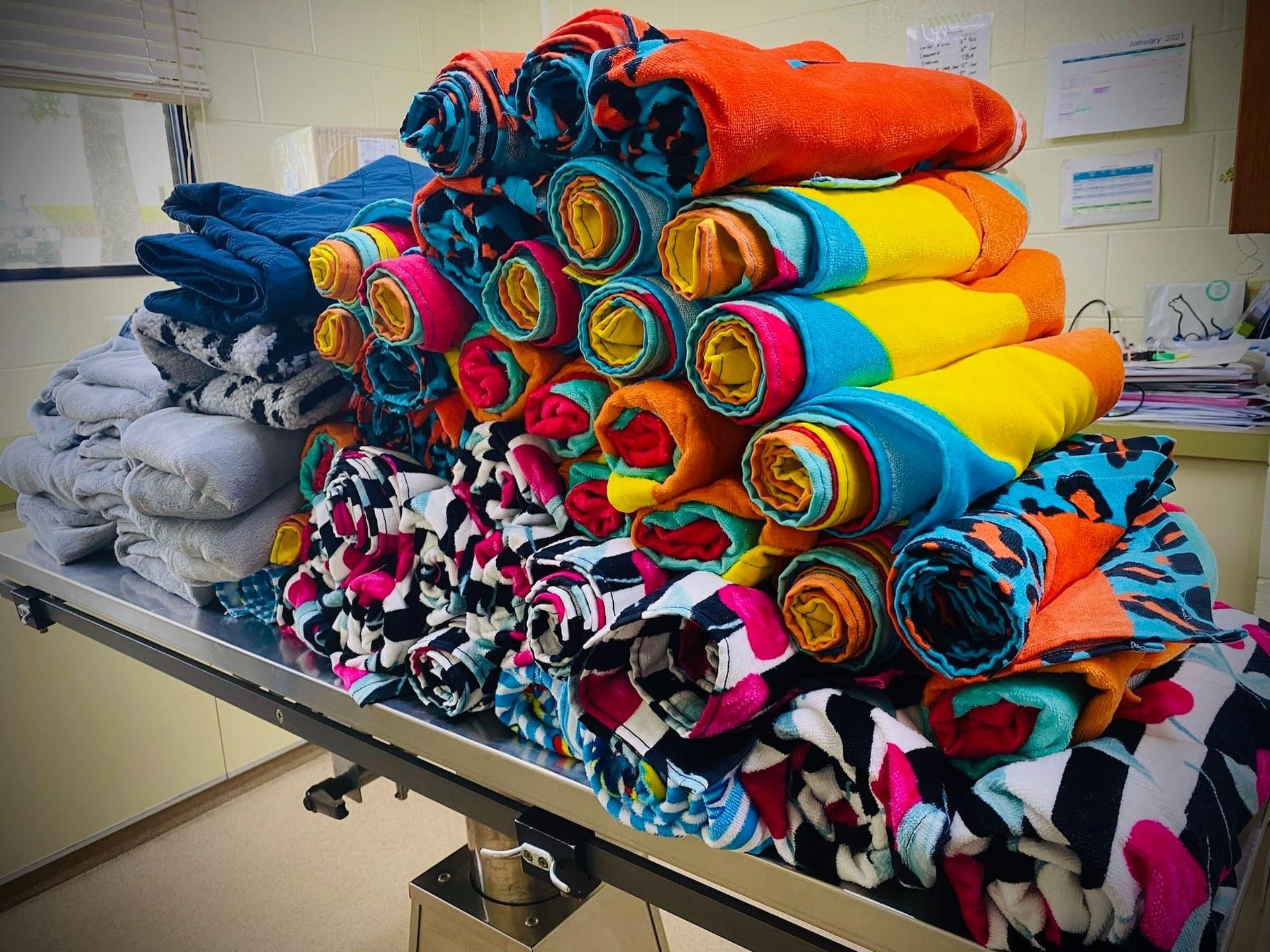 Pile Of Colorful Pet Bandanas With Various Patterns — Mount Isa Veterinary Surgery In Ryan, QLD