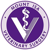 Professional Veterinary Clinic In Mount Isa