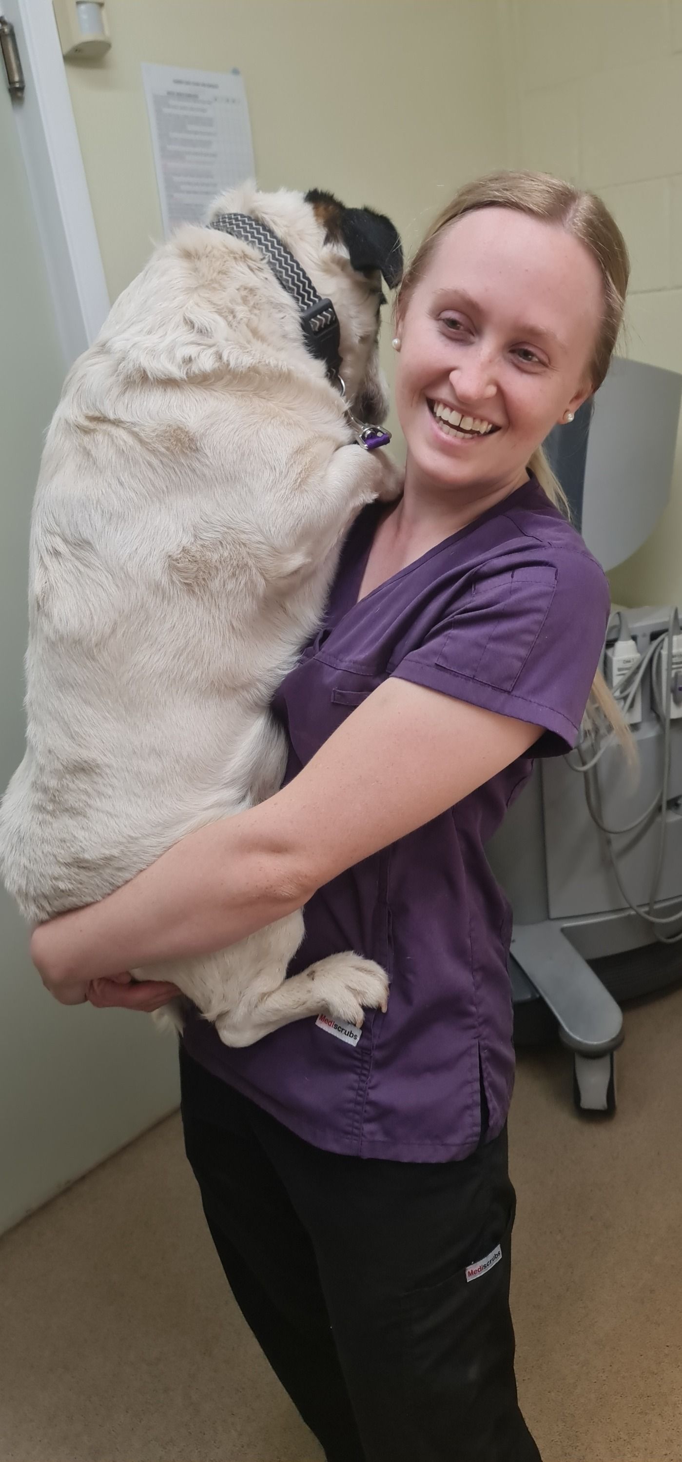 Woman In Purple Scrubs Smiling, Holding A Large, Cream-colored Dog. In A Vet's Office — Mount Isa Veterinary Surgery In Ryan, QLD