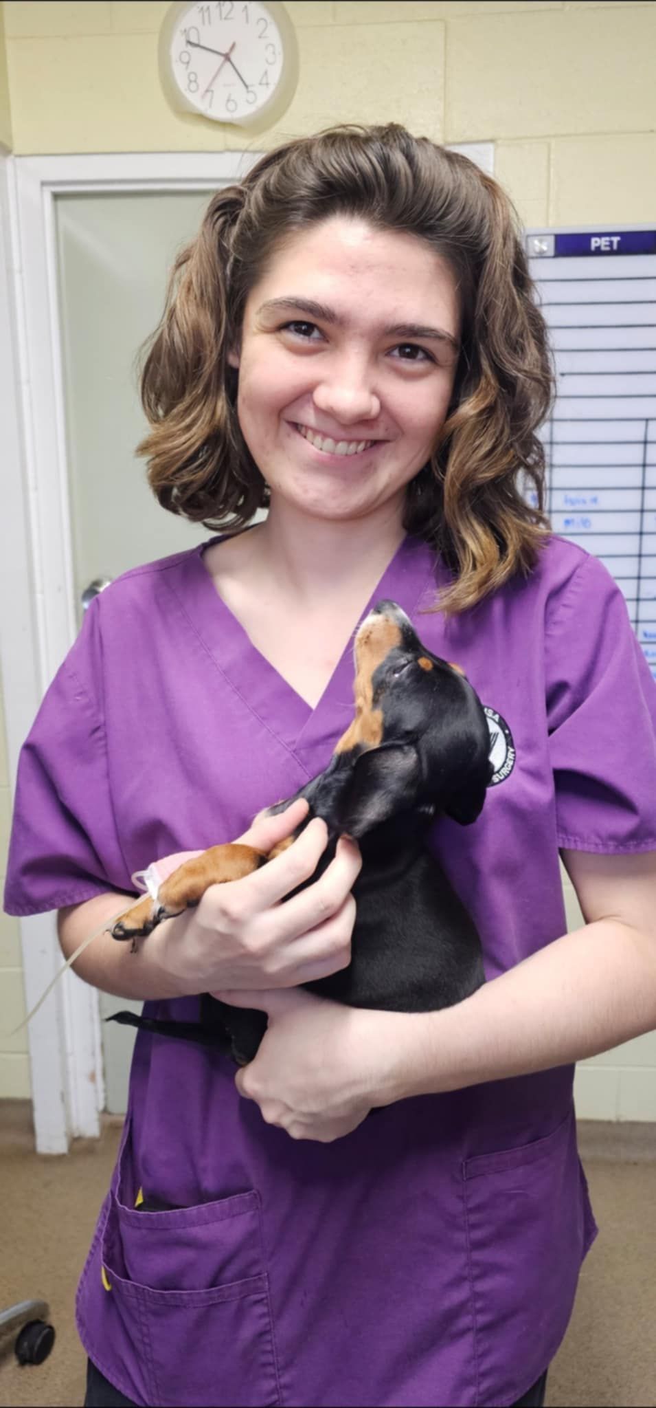 Woman in Purple Scrubs Smiles — Mount Isa Veterinary Surgery In Ryan, QLD