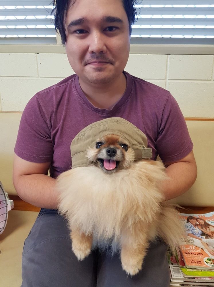 Man Holding A Fluffy And Tan Pomeranian Dog — Mount Isa Veterinary Surgery In Ryan, QLD
