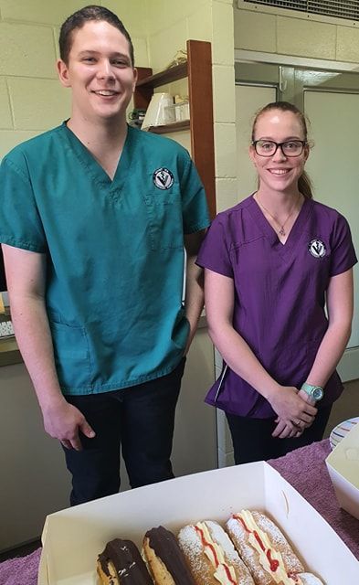 A Surgeon Is Using An Endoscope To Examine A Patient — Mount Isa Veterinary Surgery In Ryan, QLD
