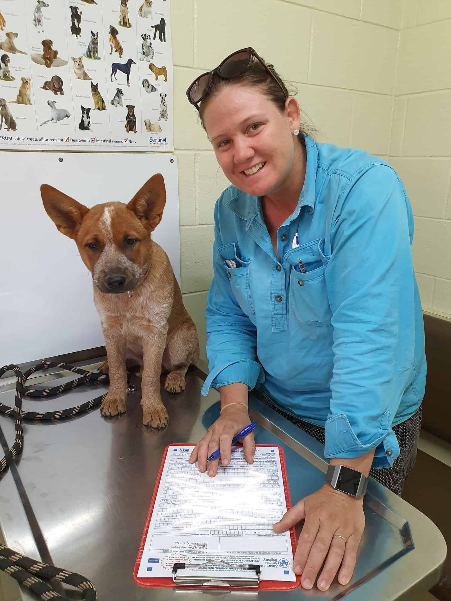 Woman in Blue Shirt with Dog on Exam Table — Mount Isa Veterinary Surgery In Ryan, QLD