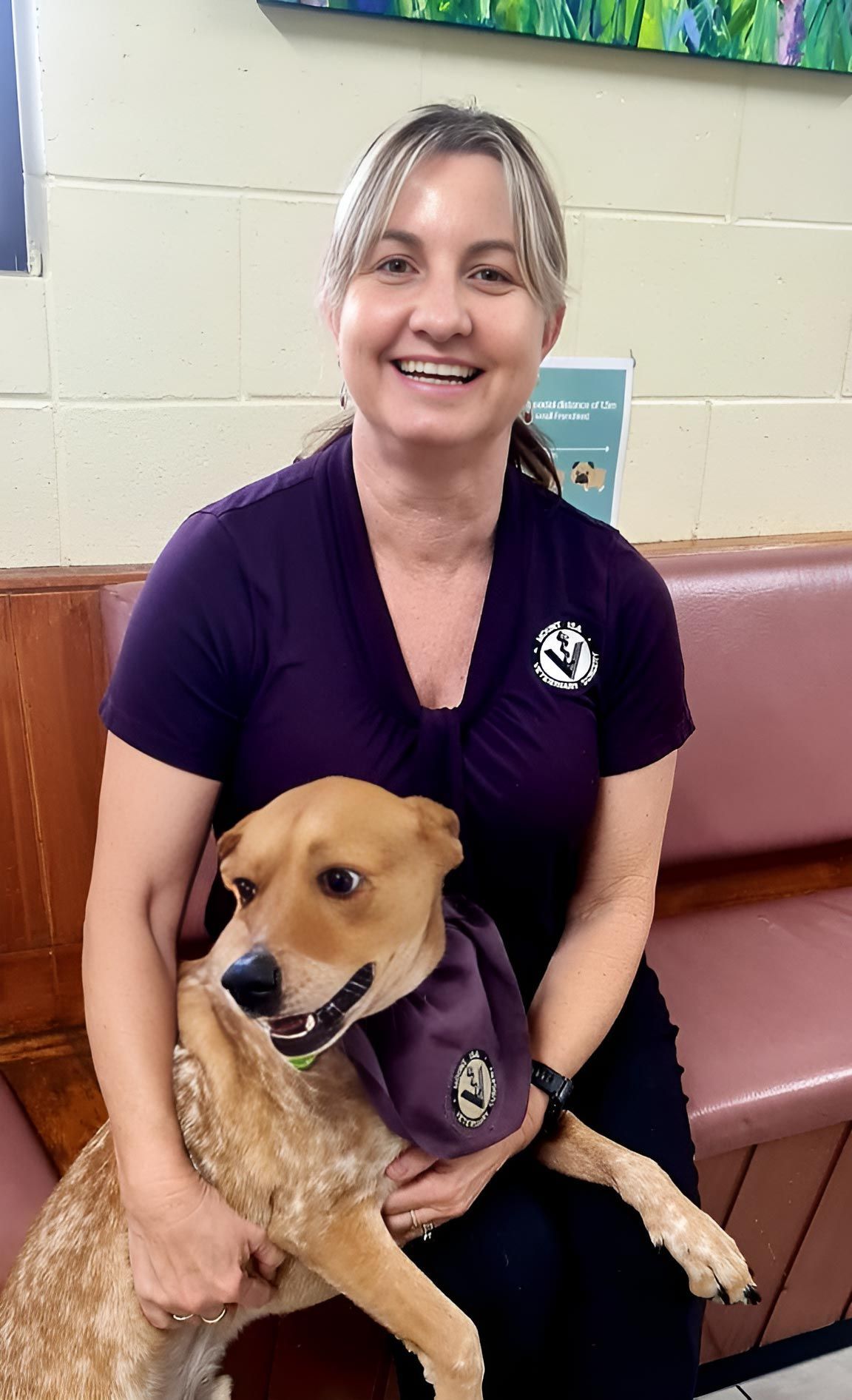 A Woman Is Sitting On A Couch Holding A Dog — Mount Isa Veterinary Surgery In Ryan, QLD