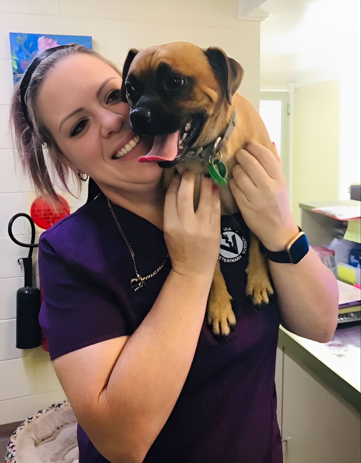 A Woman In Purple Scrubs Is Holding A Brown Dog — Mount Isa Veterinary Surgery In Ryan, QLD