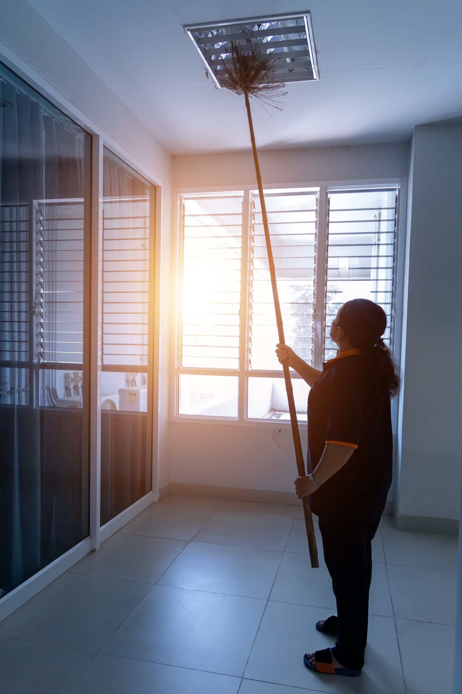 High Dusting Service