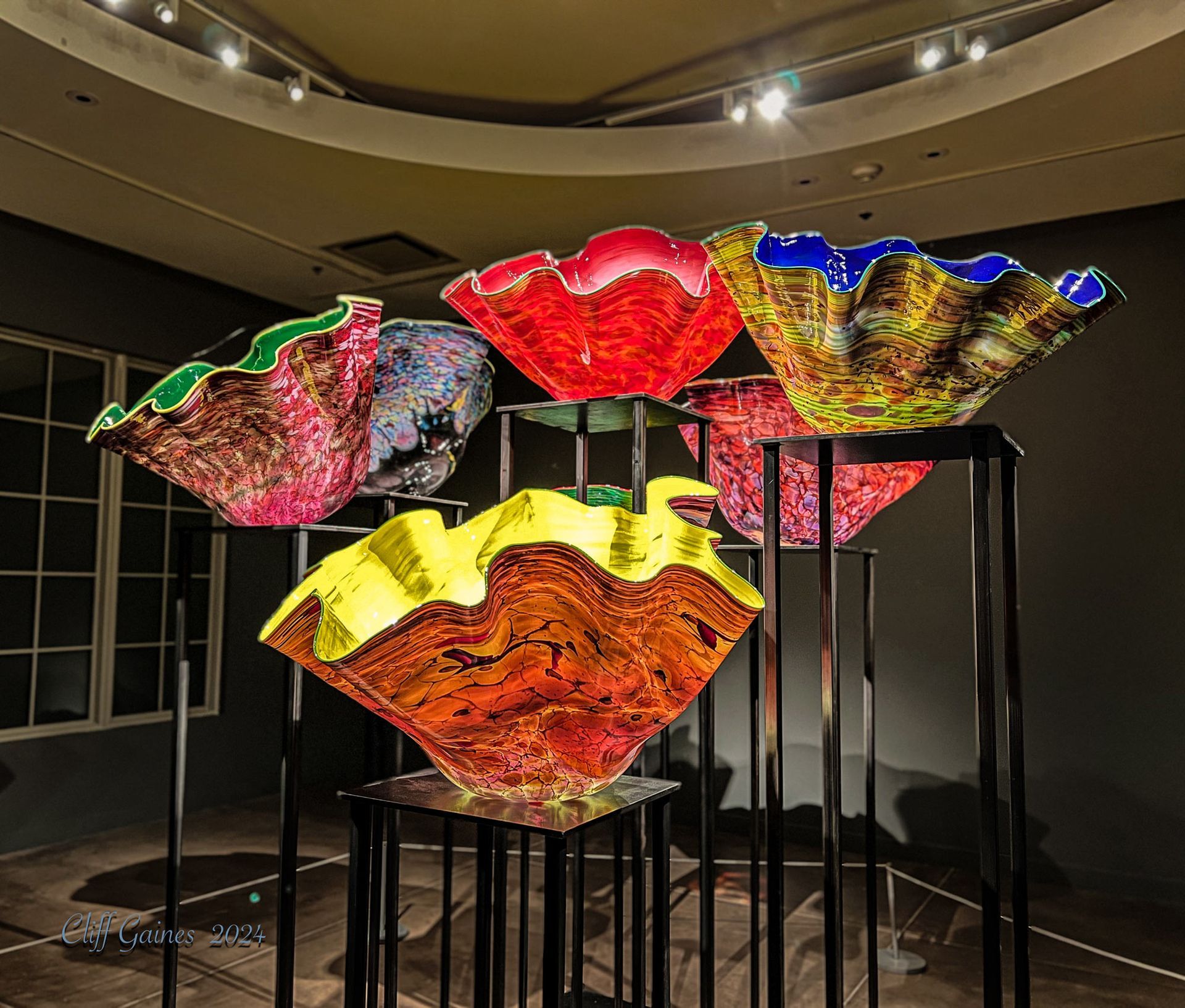 A group of colorful vases are sitting on display in a room.