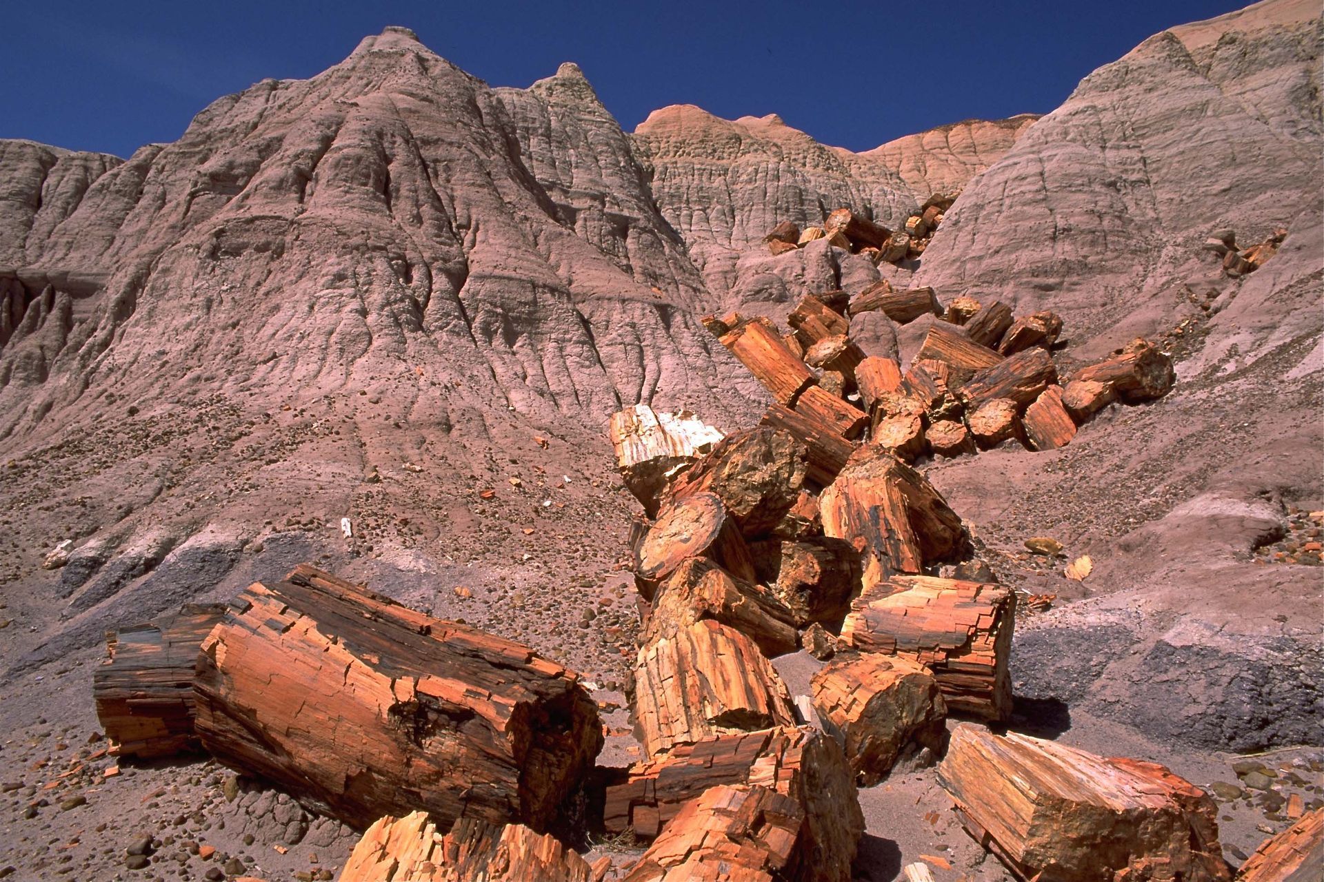 A pile of rocks in the desert with mountains in the background