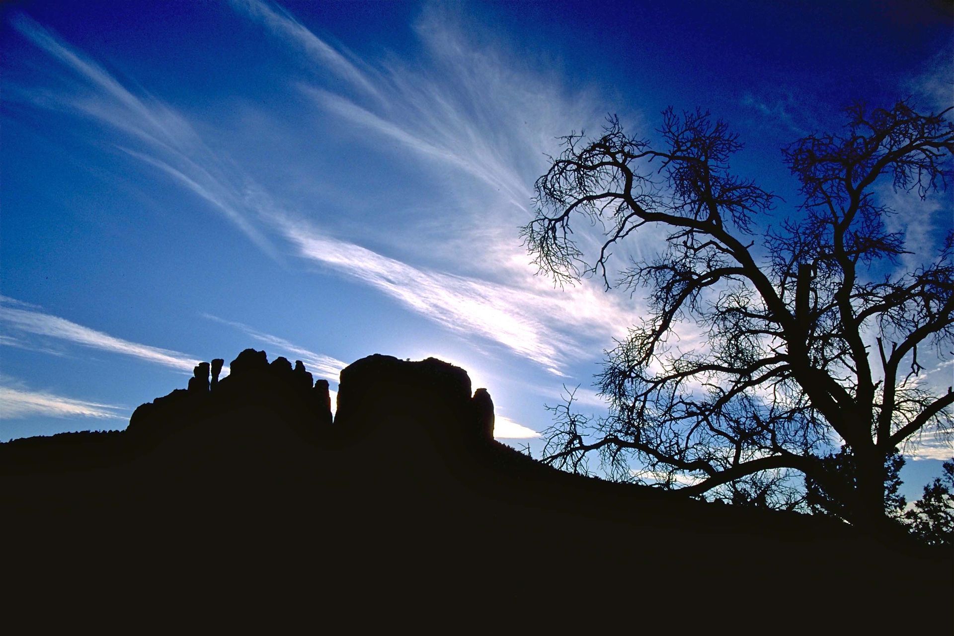 A tree is silhouetted against a blue sky with clouds