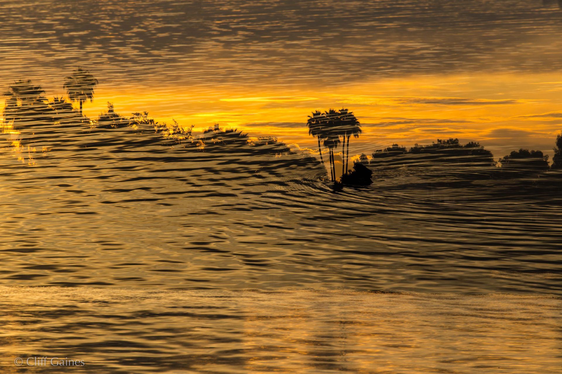 A painting of a sunset over a body of water with palm trees in the foreground.