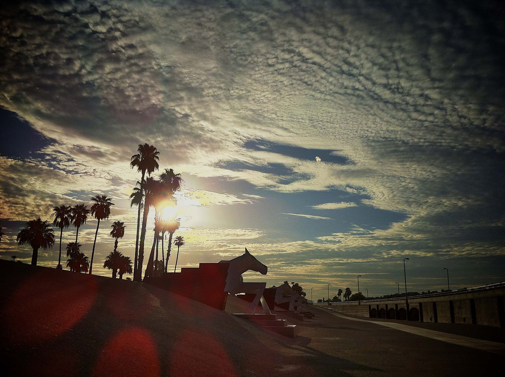 A sunset with palm trees and a horse in the foreground