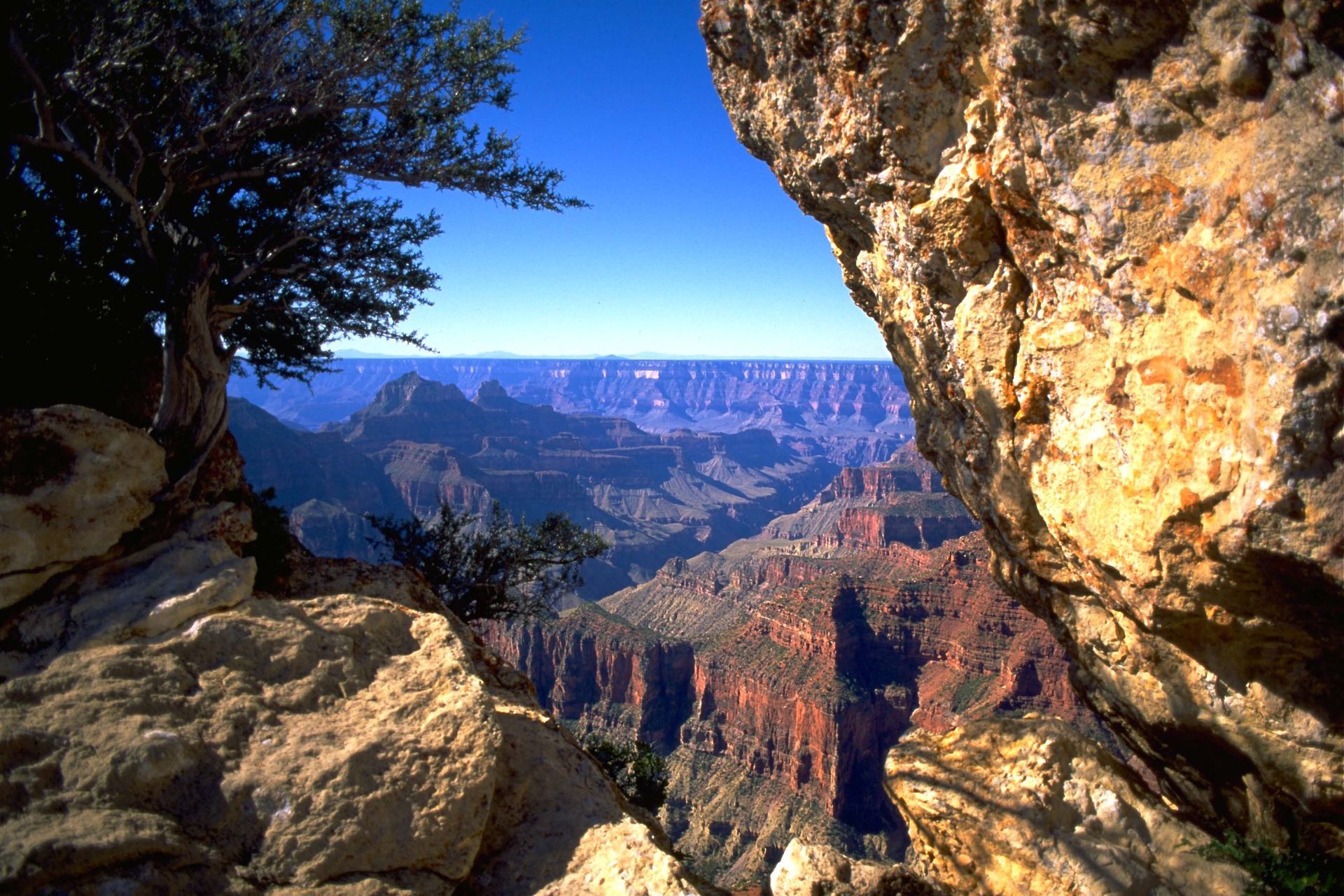 A view of the grand canyon from a rocky cliff