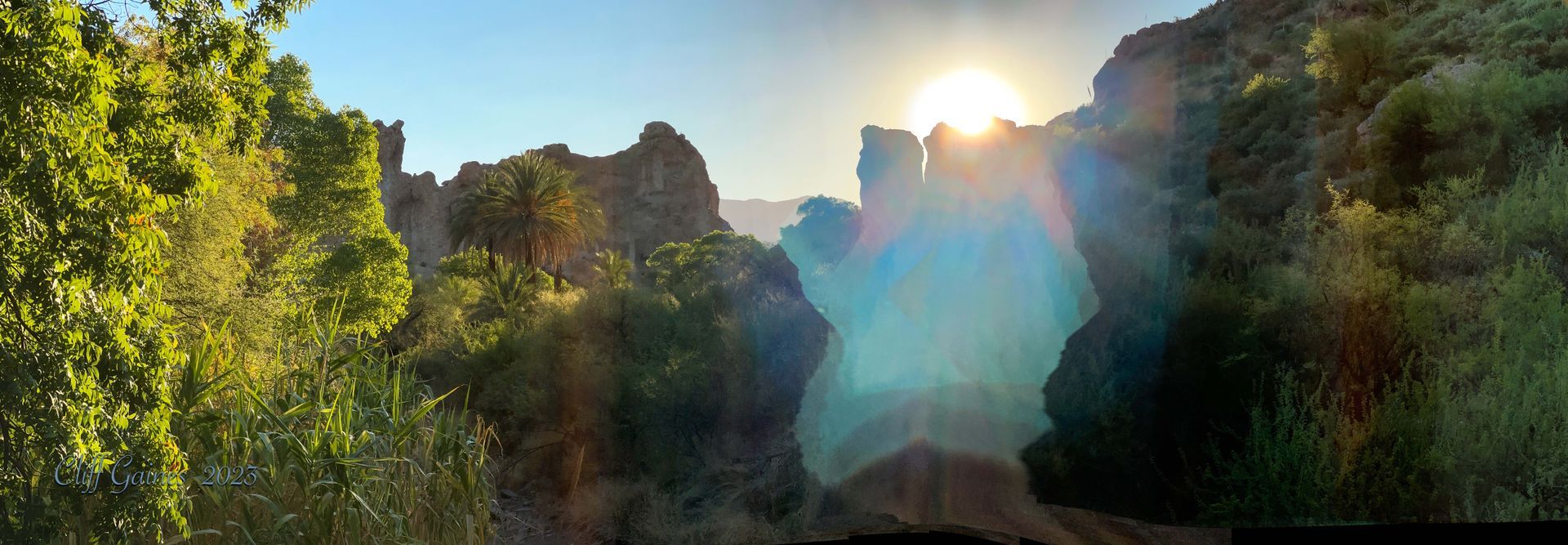 The sun is shining through the trees in the mountains