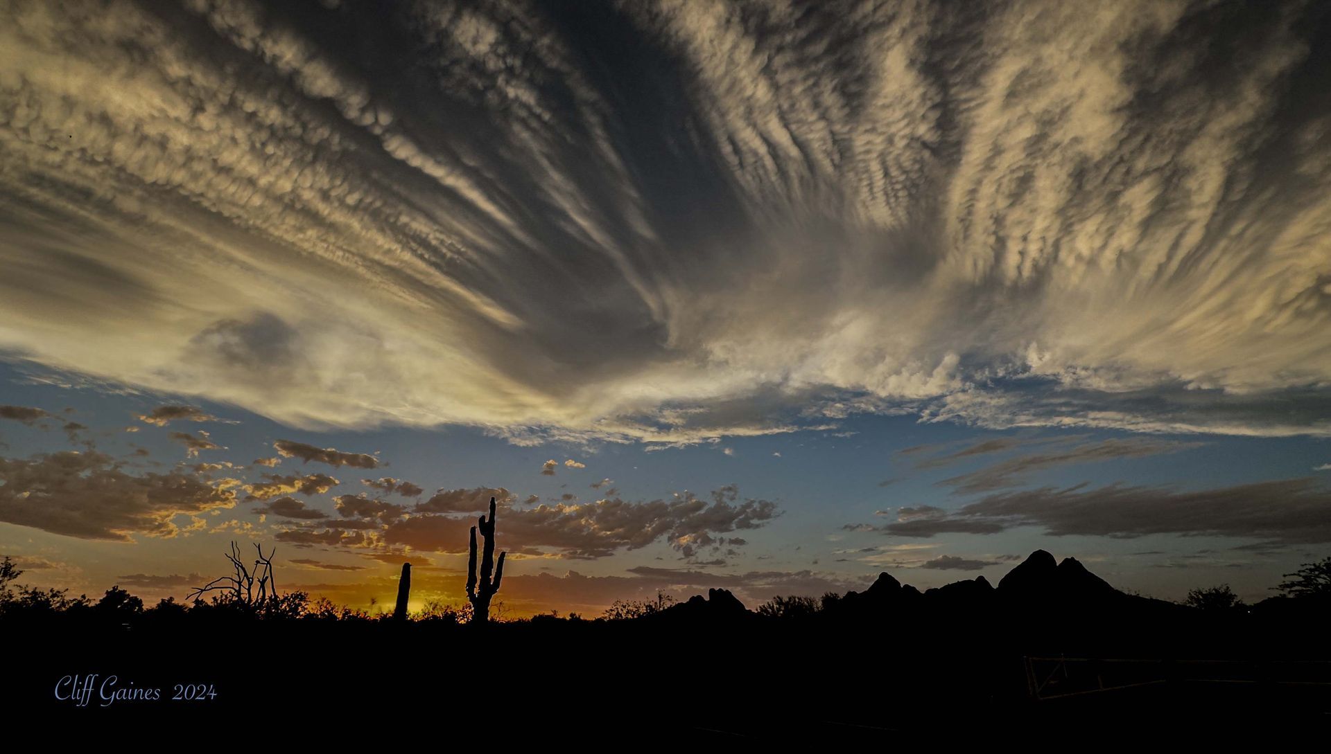 A cactus is silhouetted against a cloudy sky at sunset.