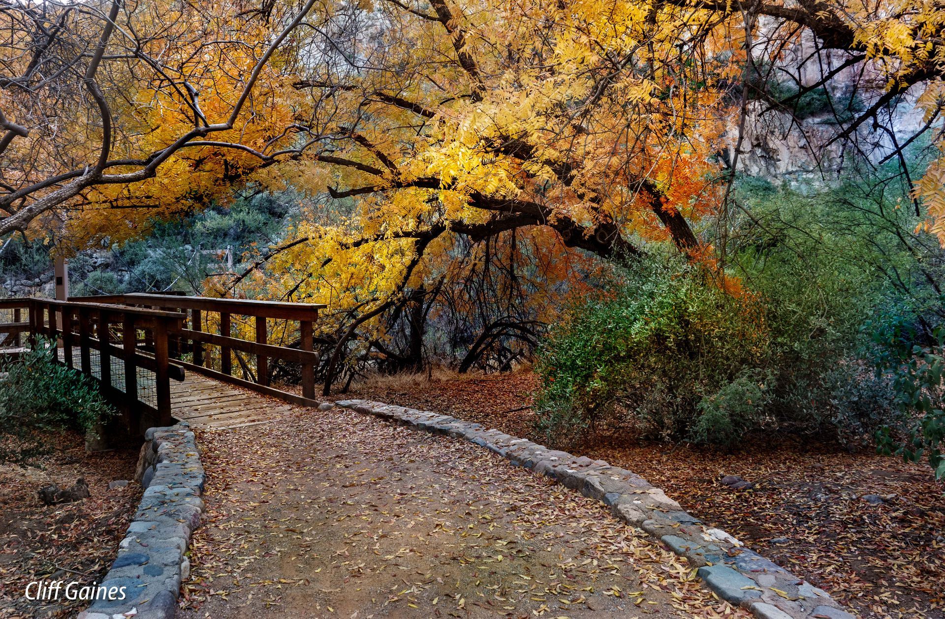 A wooden bridge over a stream in a park surrounded by trees with yellow leaves.