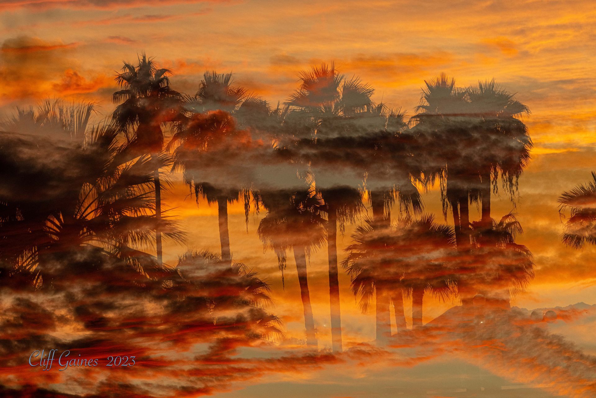 A painting of a sunset with palm trees in the foreground