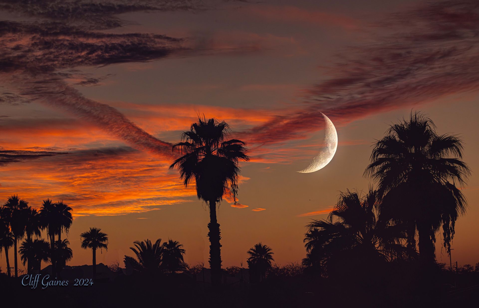 A sunset with palm trees and a crescent moon in the sky