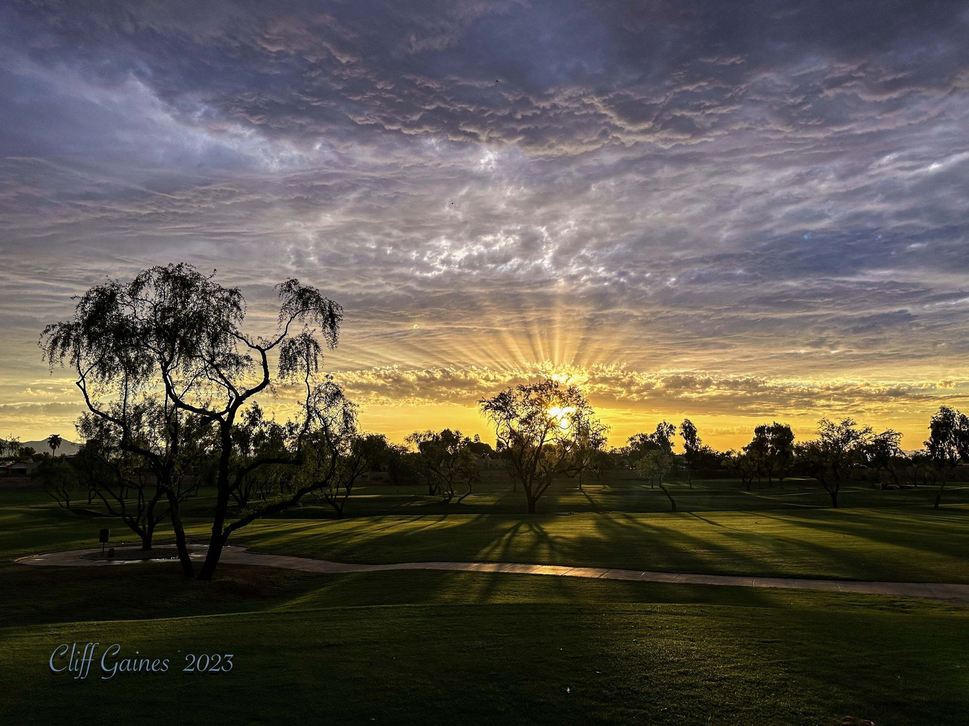 The sun is setting over a grassy field with trees in the foreground