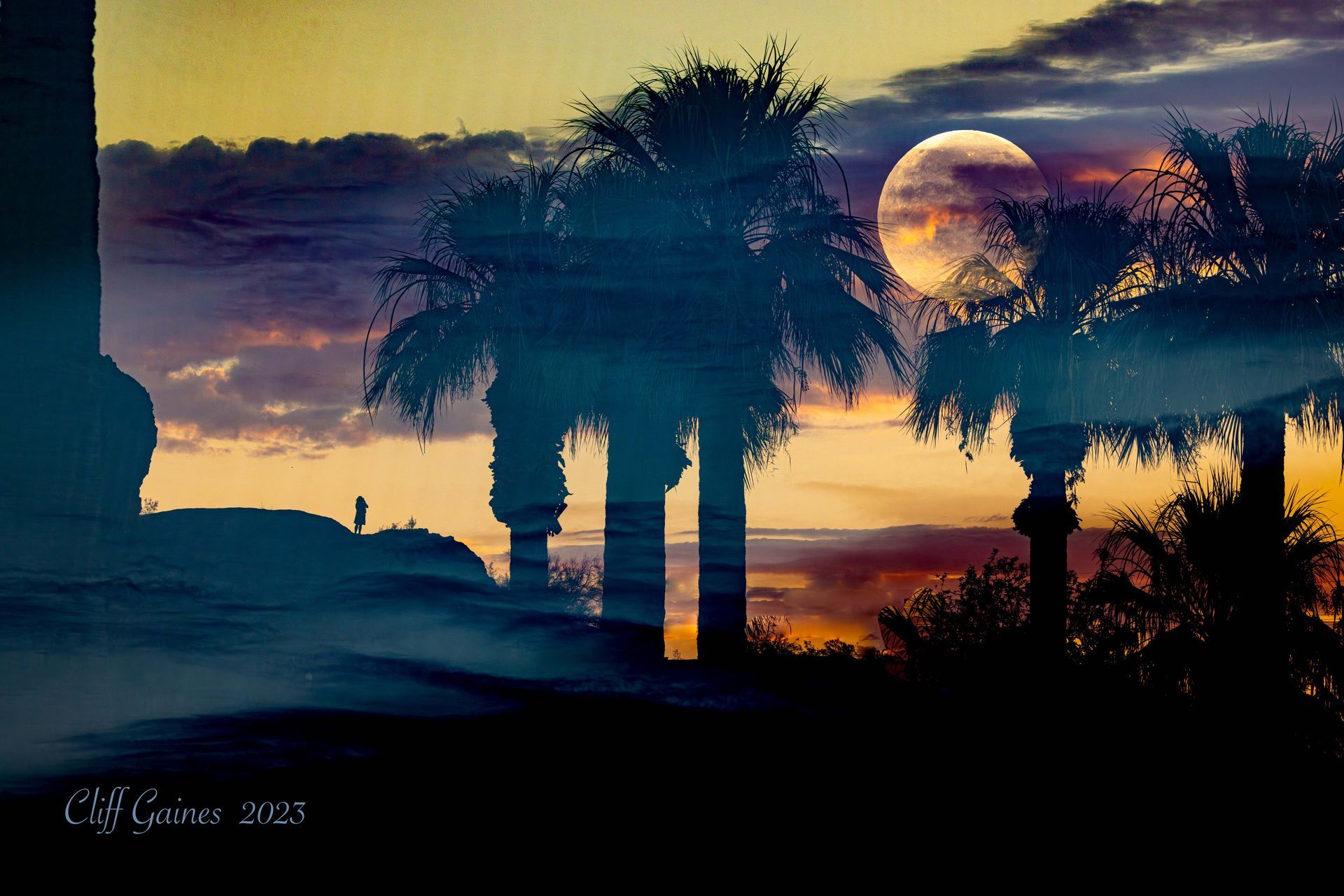 A sunset with palm trees and a full moon