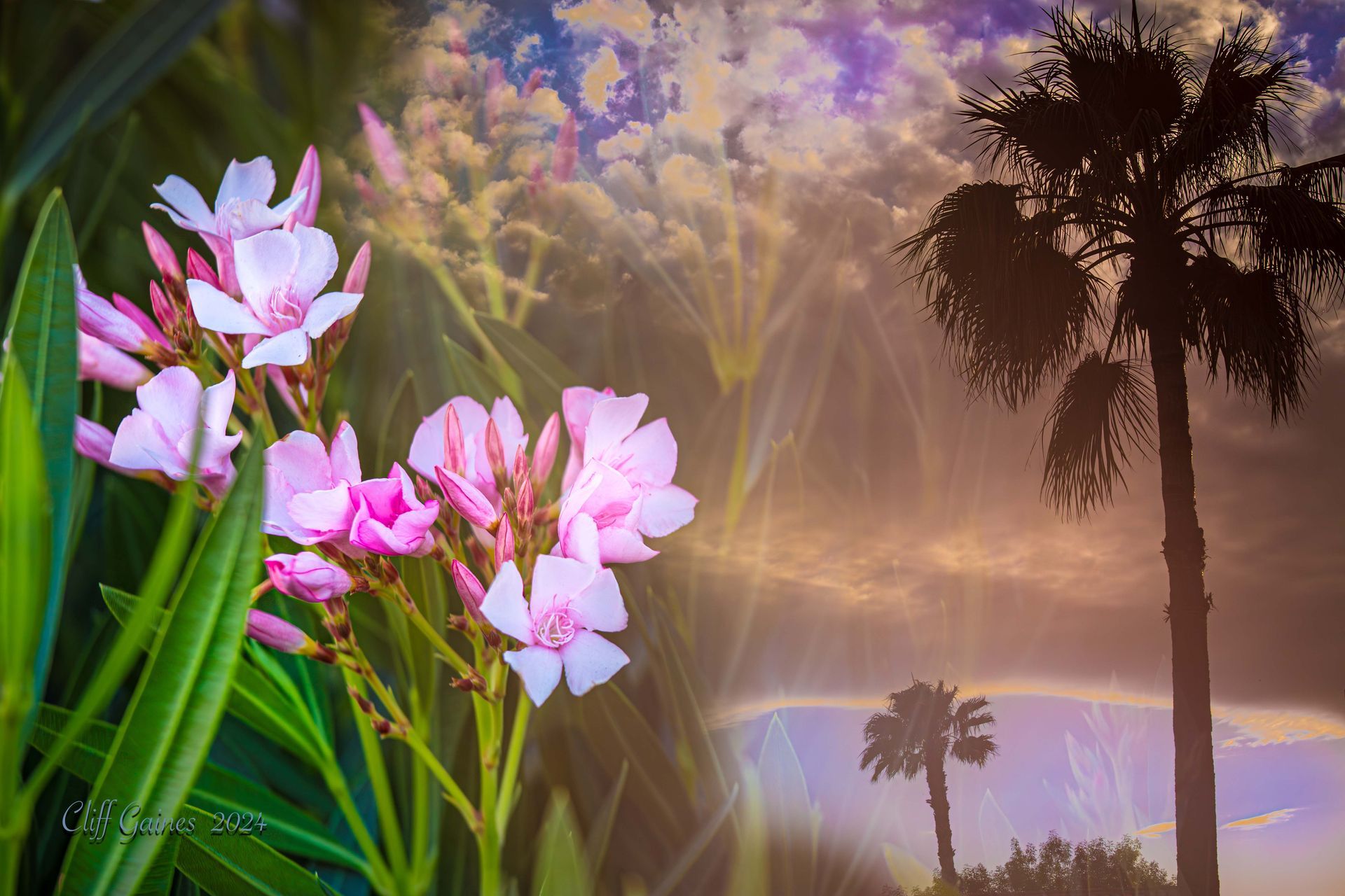 A painting of pink flowers and palm trees with a sunset in the background.