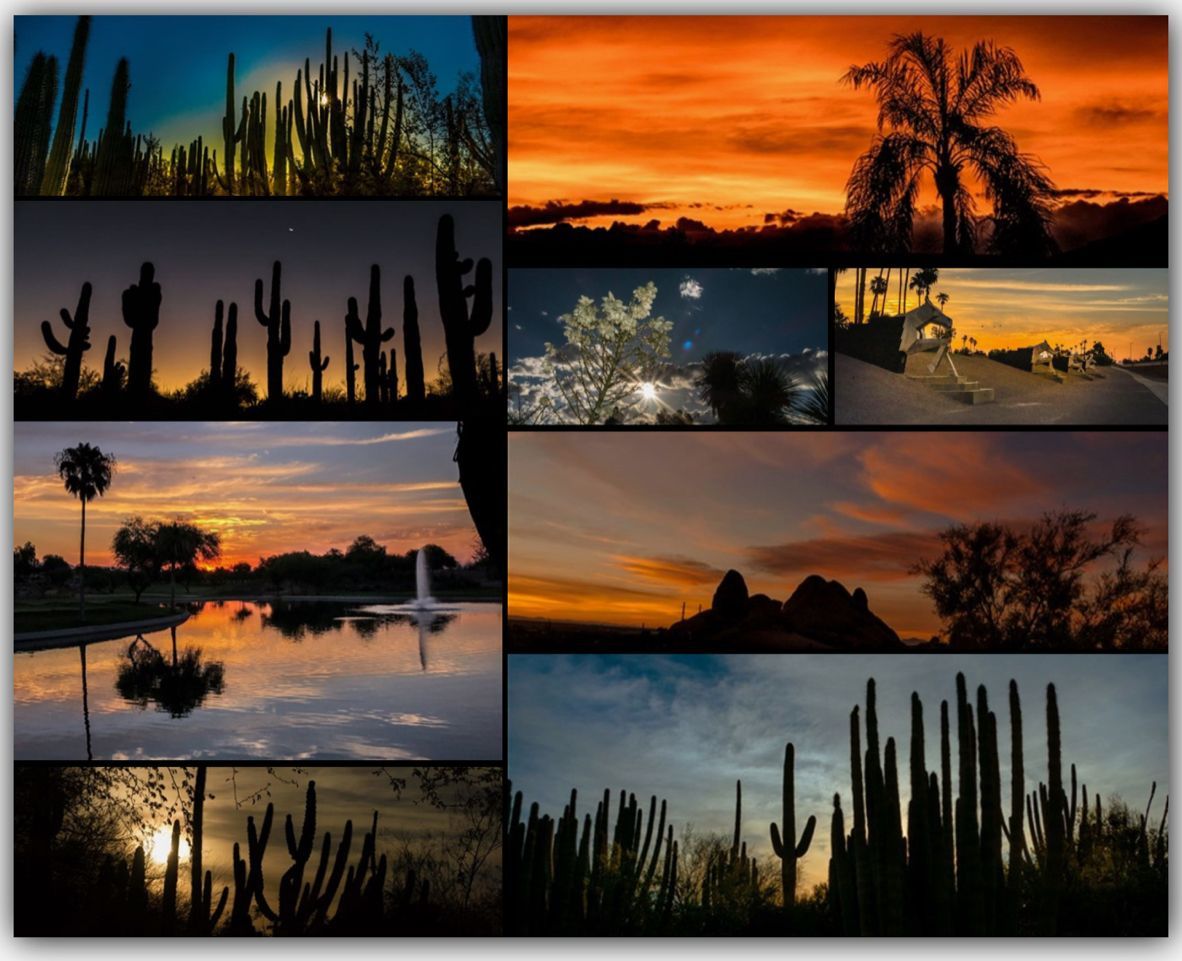 A collage of sunsets with cactus and palm trees
