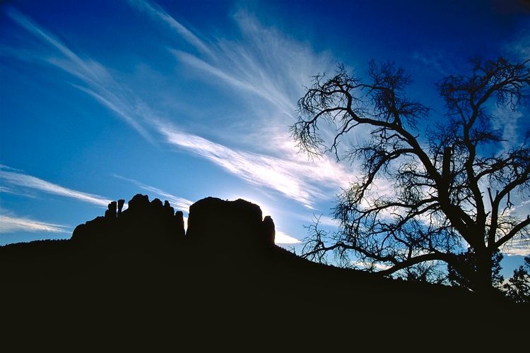 A tree is silhouetted against a blue sky with clouds