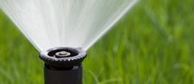 functioning sprinkler head