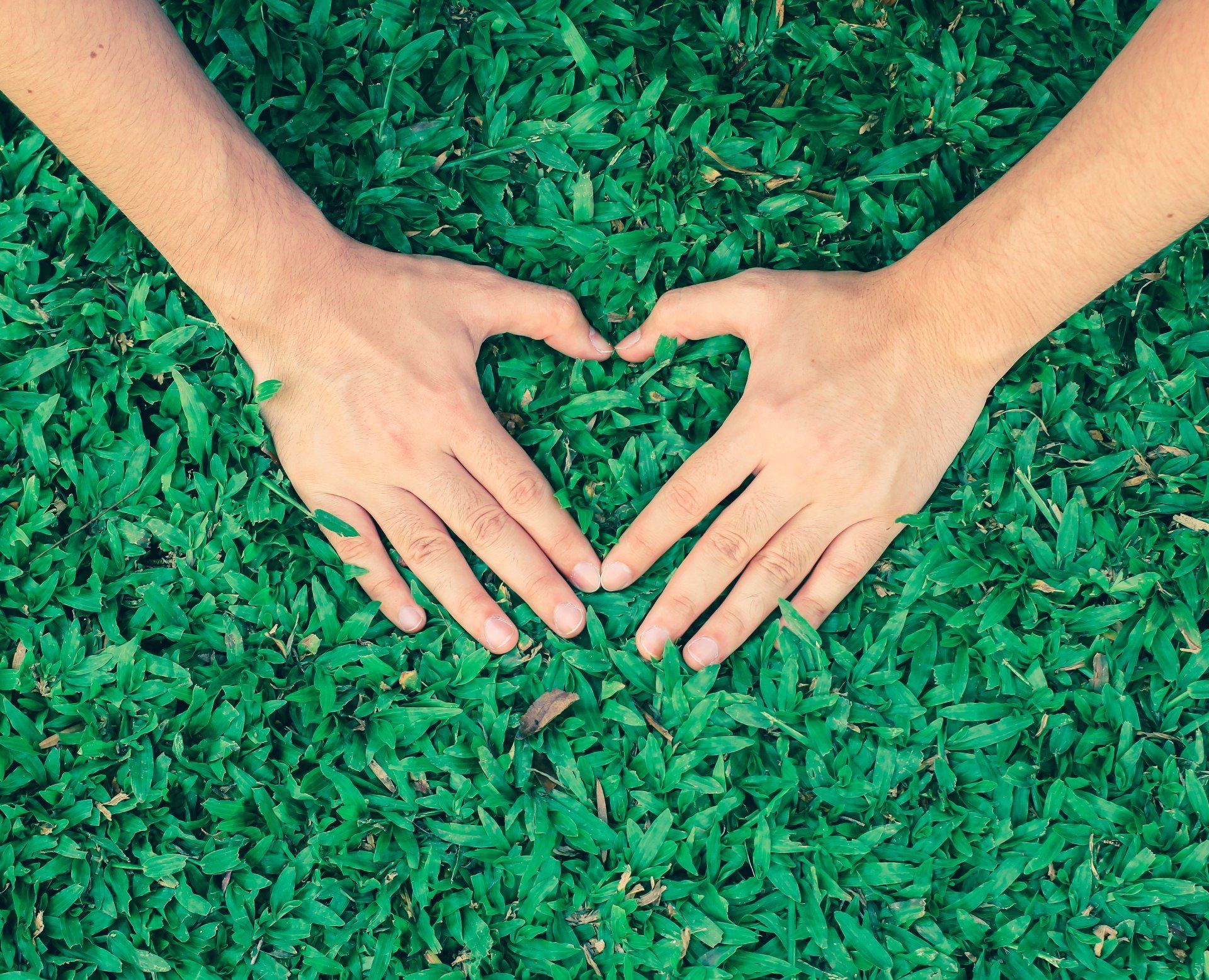 A person is making a heart shape with their hands in the grass.