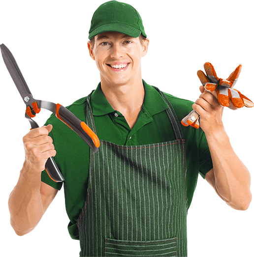 A man in an apron is holding a pair of scissors and gloves