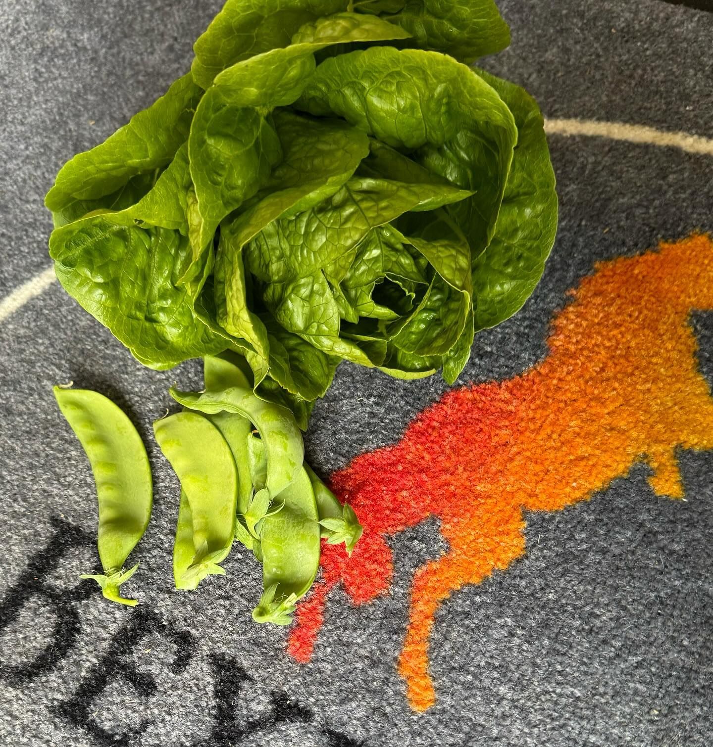 Fresh green lettuce and snow peas sit on a patterned rug featuring a colorful horse silhouette.