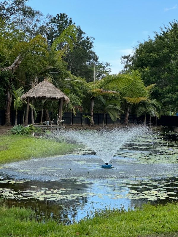 Bexland near Noosa Sunshine Coast 