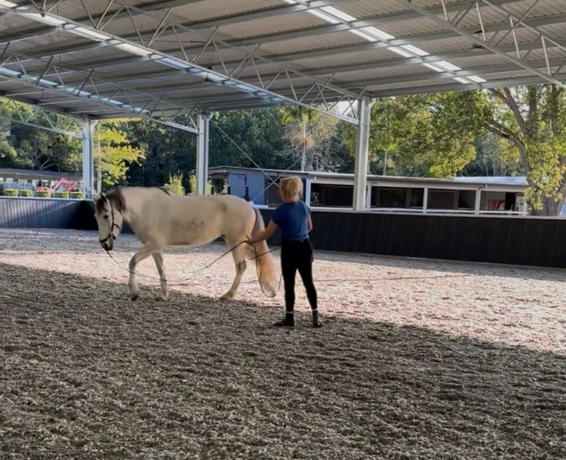 Milly and Trainer during a clinic using the equine facilites a